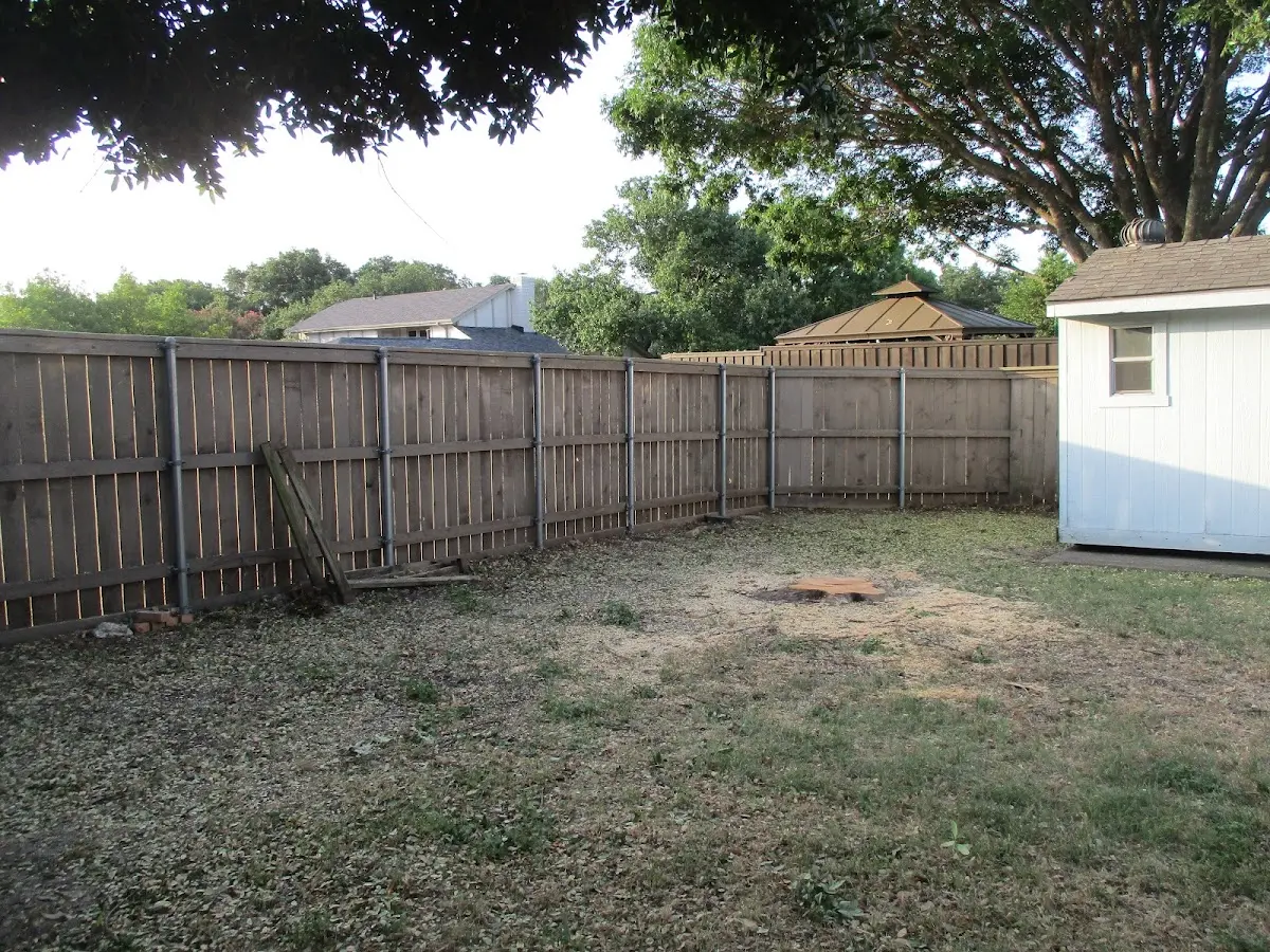 Cleared yard after professional tree removal in Rugby